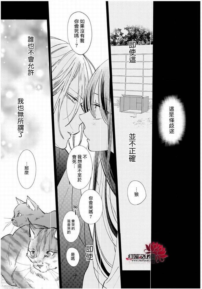 《野猫与狼》11话第41页