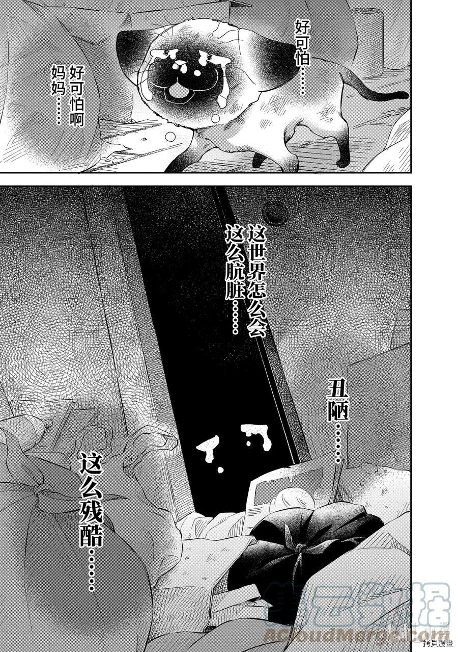 《大叔与猫》第87话第5页