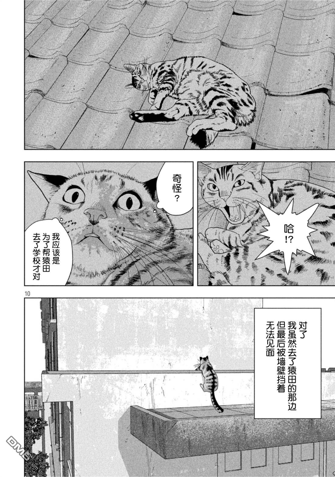 《地下忍者》第76话 猫平的报恩第10页