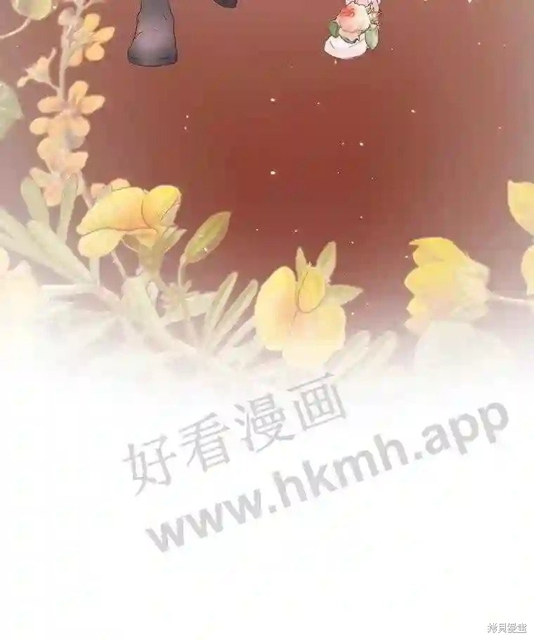 下一页图片