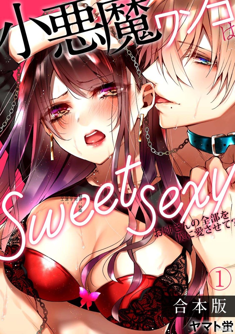 《小恶魔忠犬是sweet sexy~由我来爱姐姐的全部？》第2话第1页