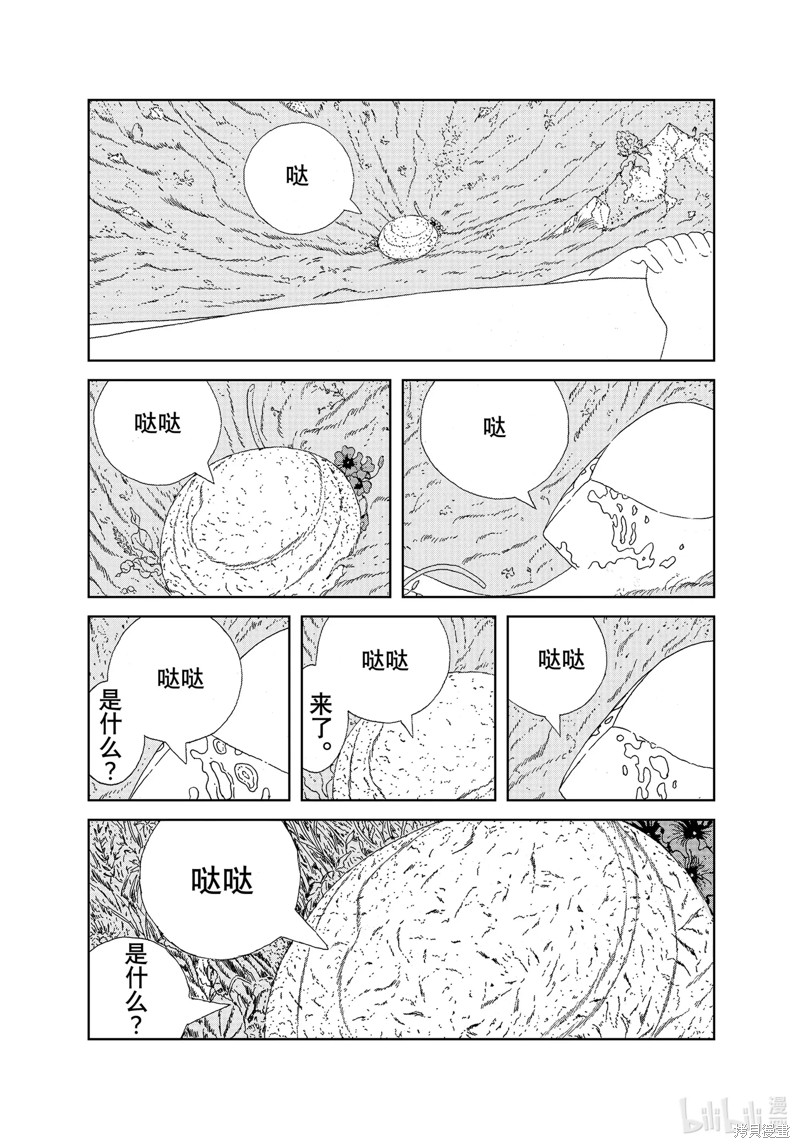 下一页图片