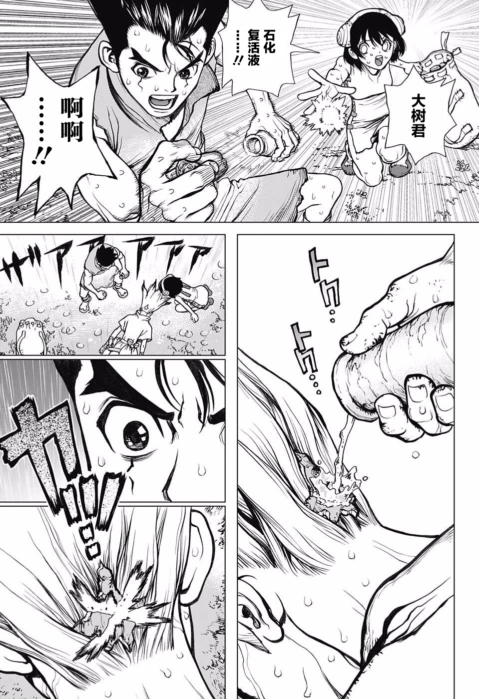 《Dr.STONE》12话第13页