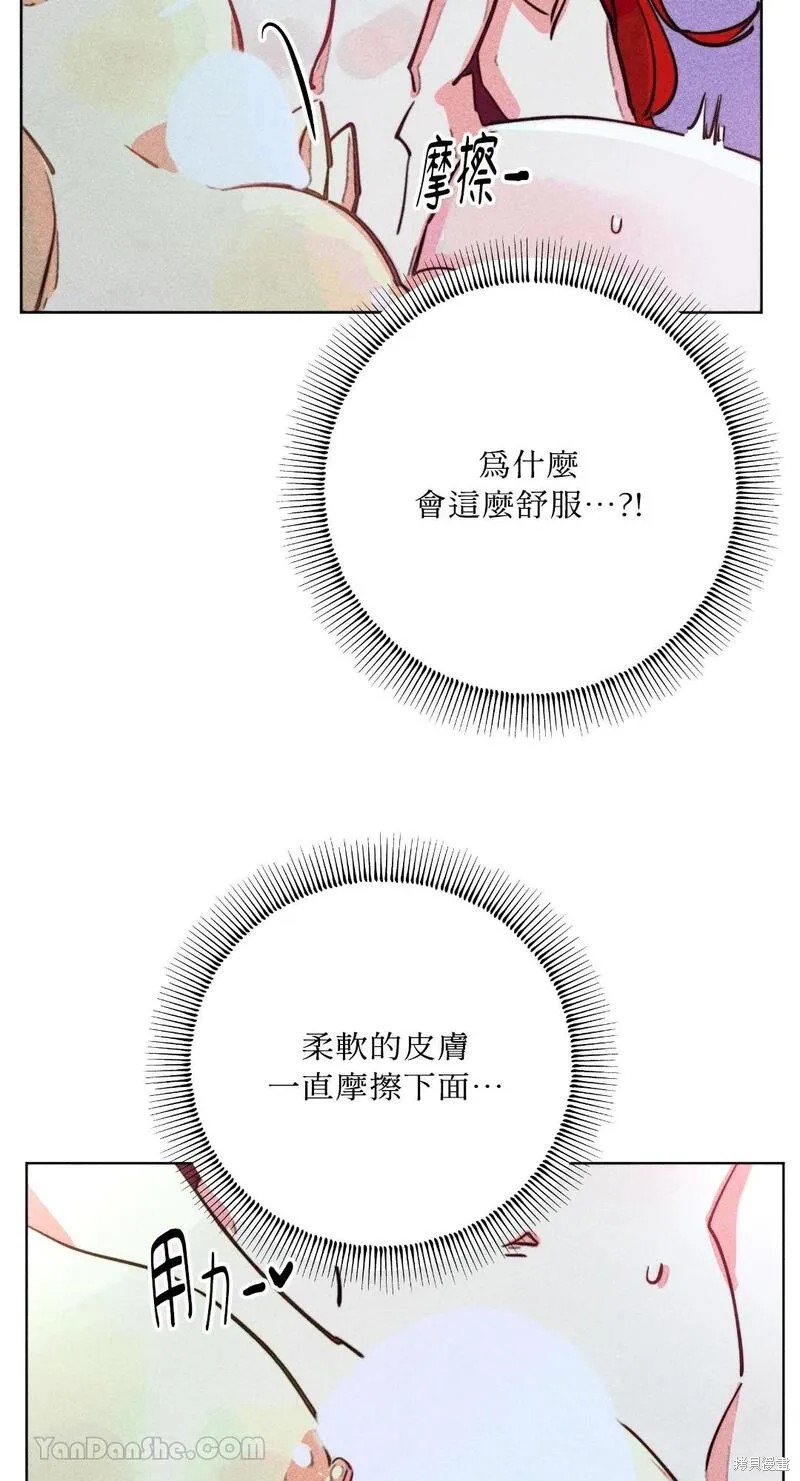 下一页图片