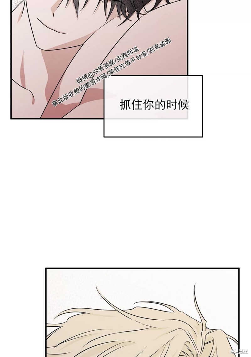 下一页图片