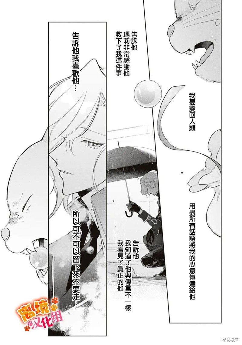 《软弱千金变笨猫、被最可怕的军人公爵捡到命不久矣》第10话第14页