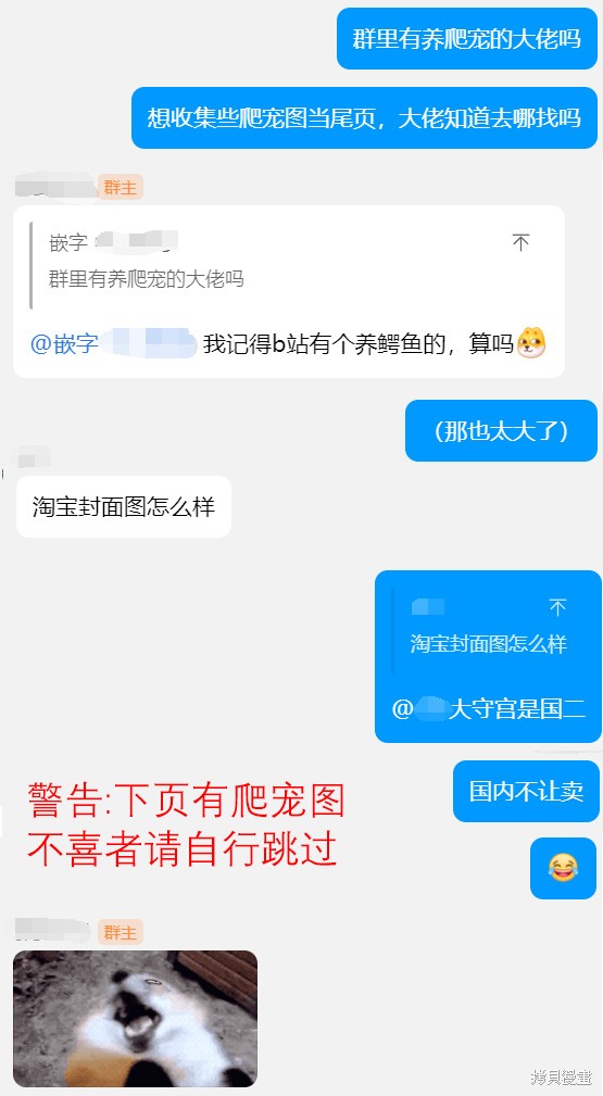 下一页图片