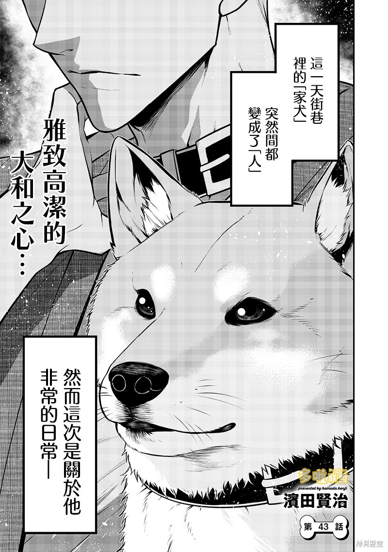 《我家碰太变成了人类这件事。》柴犬篇第1页