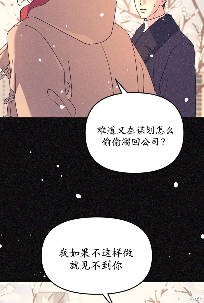 下一页图片