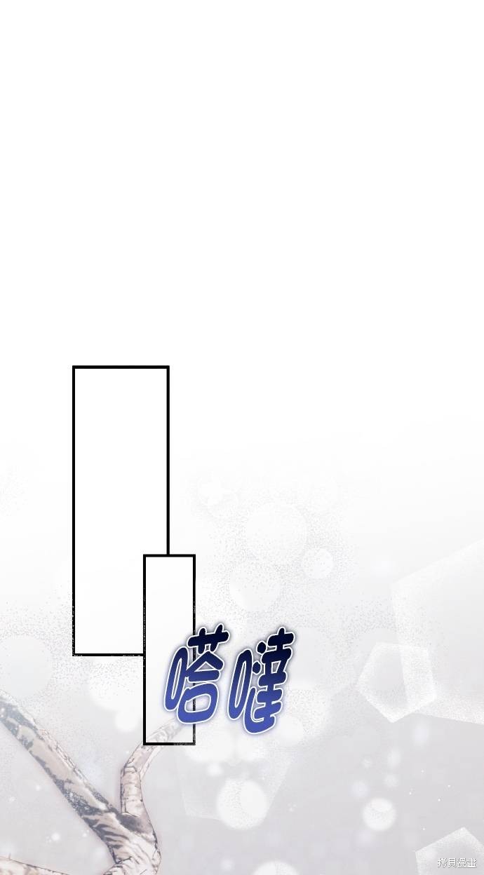 下一页图片