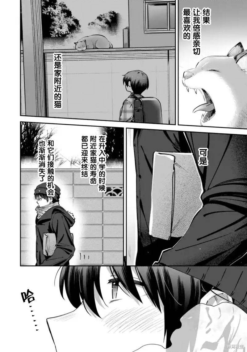 下一页图片