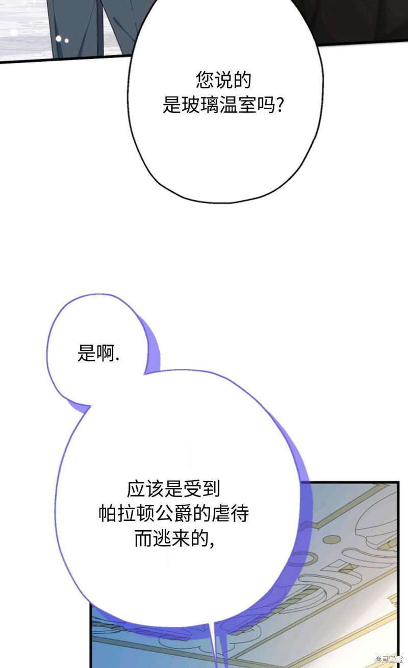 下一页图片