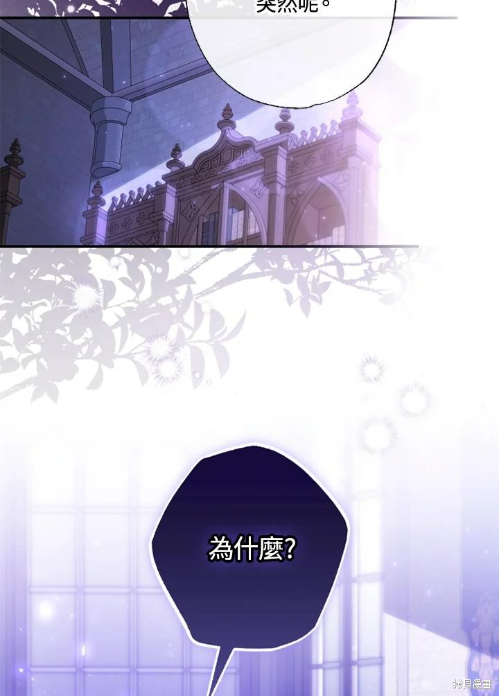 下一页图片