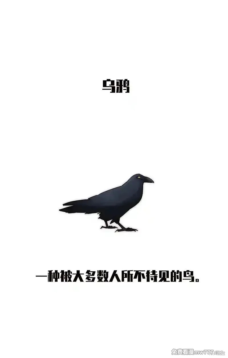 下一页图片