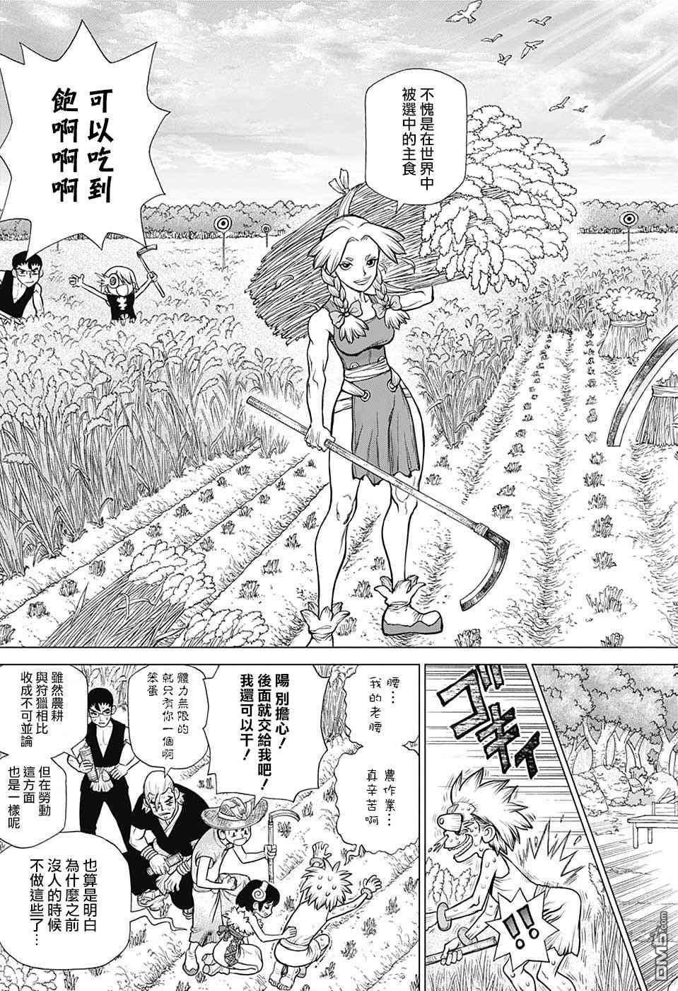 《Dr.STONE》第94话第5页