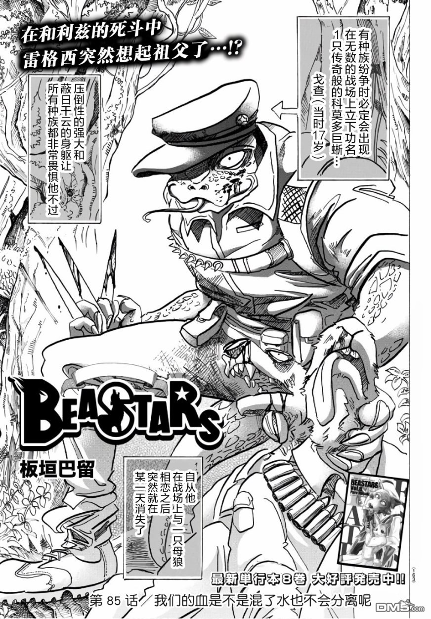 《BEASTARS》第85话 我们的血是不是混了水也不会分离呢第1页