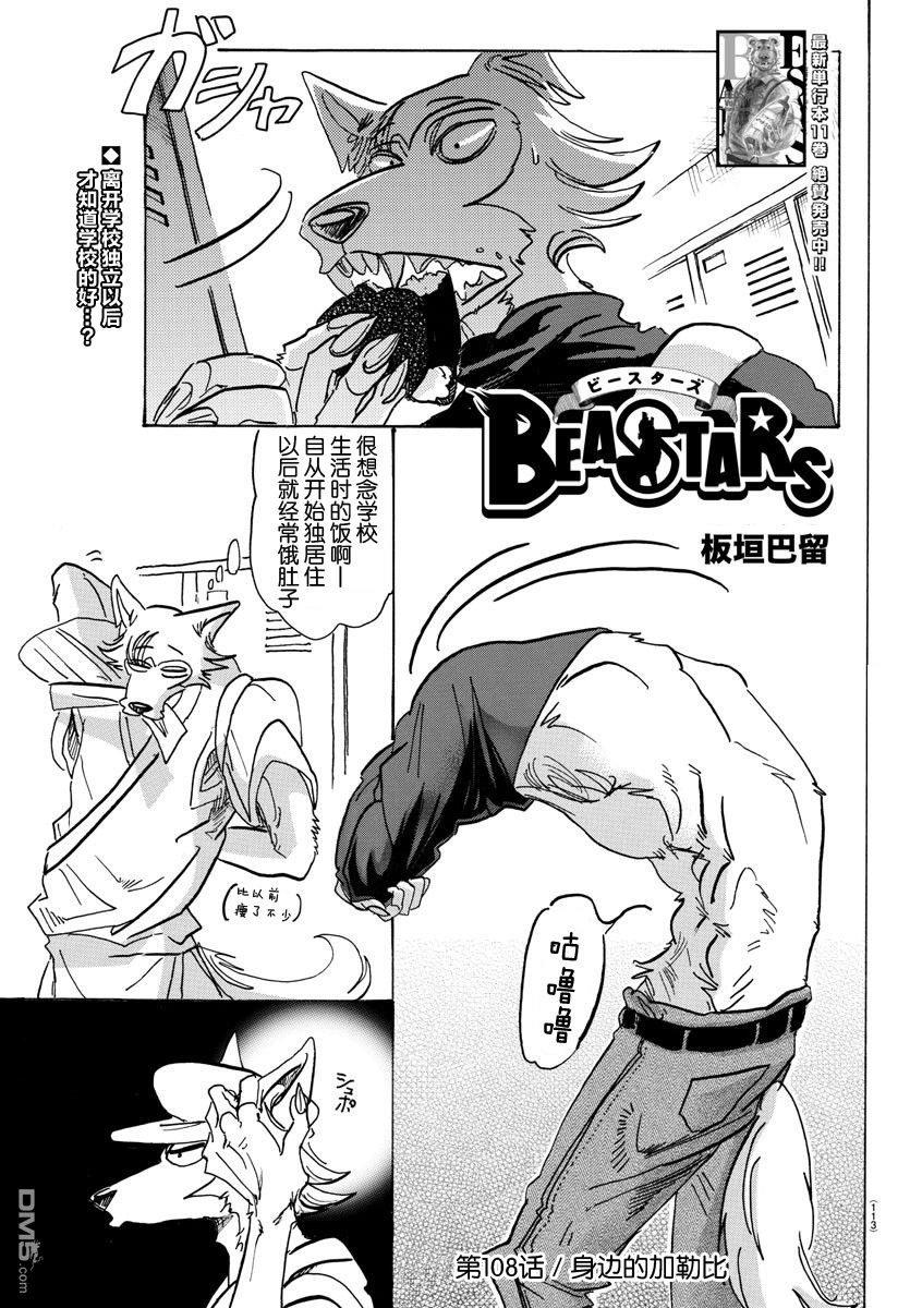 《BEASTARS》第108话 身边的加勒比第1页