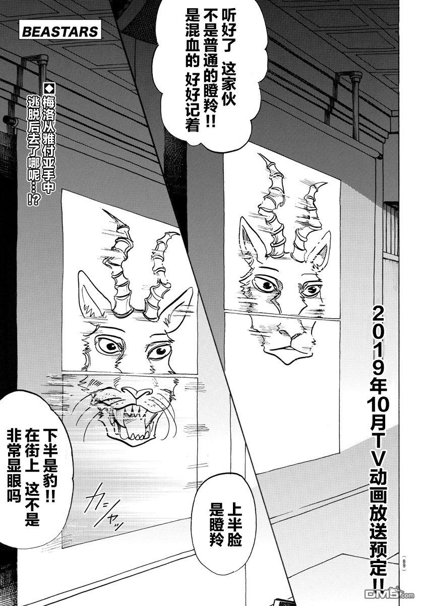 《BEASTARS》第126话 恶魔的祈祷、听说就是不详的预兆第1页