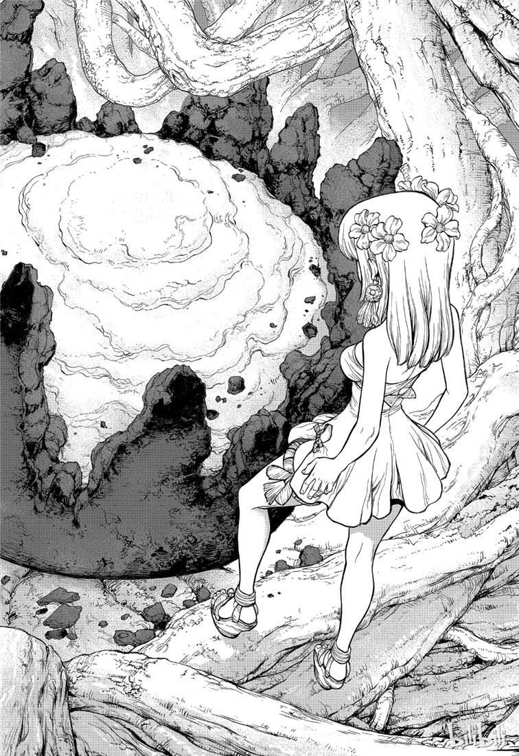 《Dr.STONE》第114话第4页