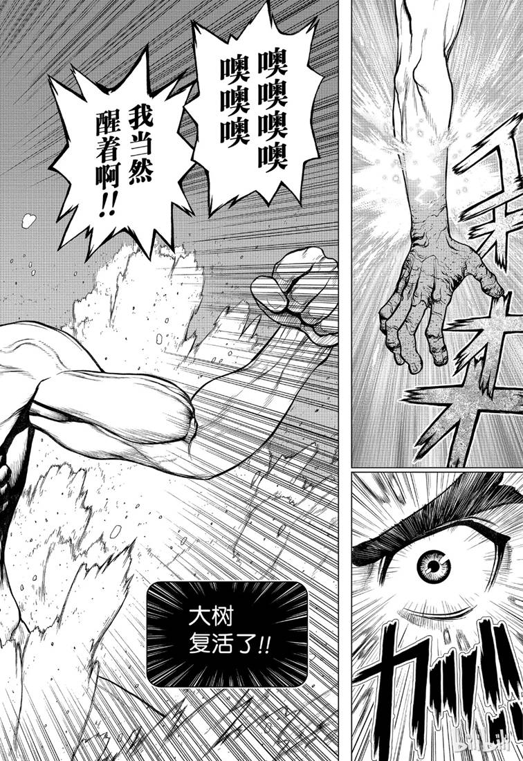 《Dr.STONE》第118话第12页