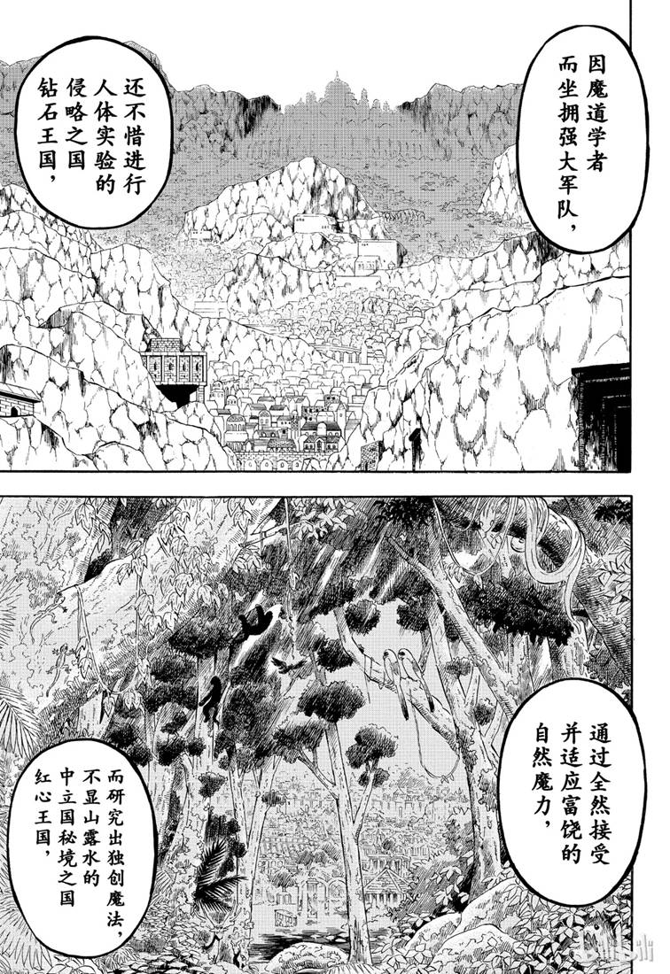 《黑色五叶草》216话 力量平衡第5页