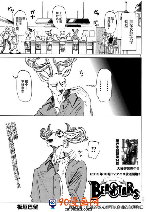 《BEASTARS》第143话.电视的微光都可以穿透的单薄胸口第1页