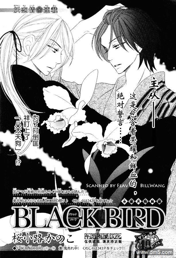 《黑鸟恋人(BLACK BIRD)》第44话第1页