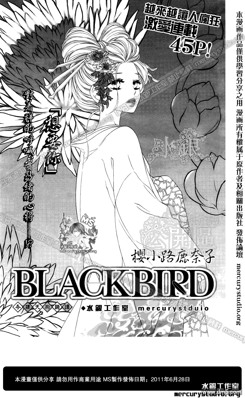 《黑鸟恋人(BLACK BIRD)》第50话第1页