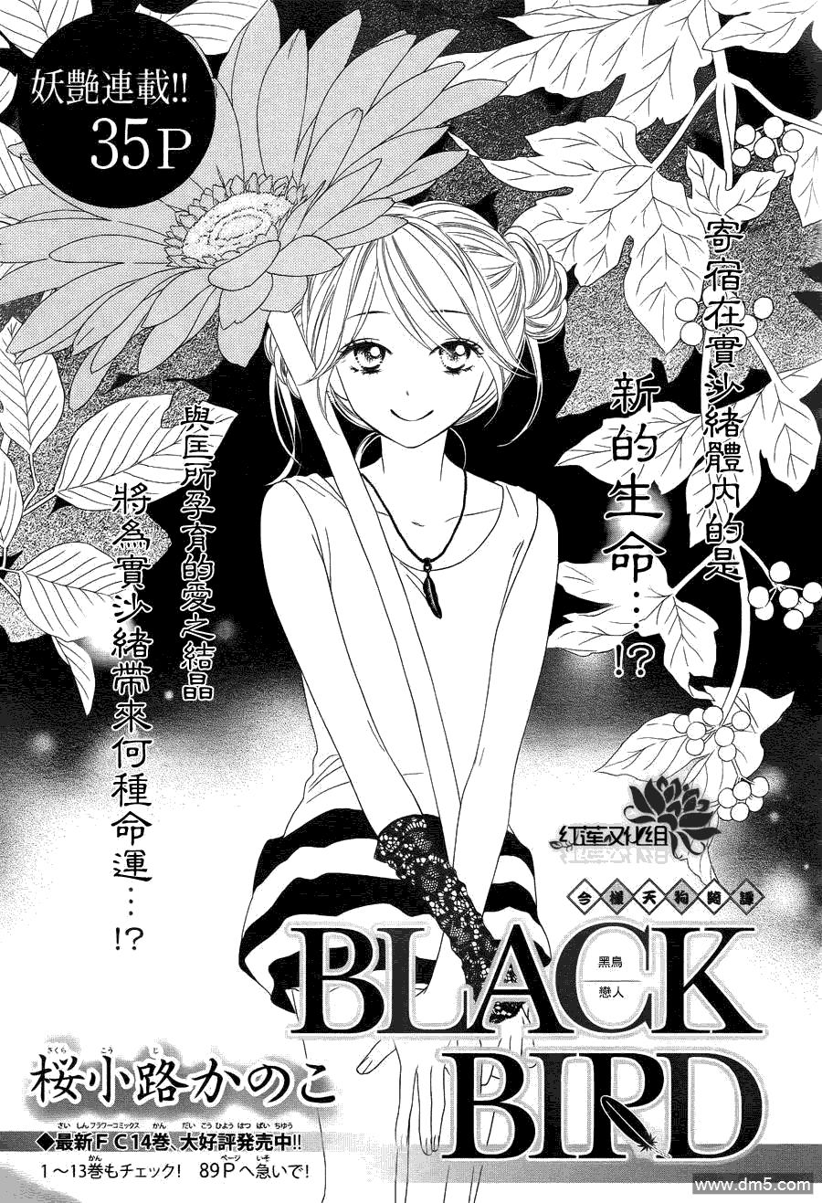 《黑鸟恋人(BLACK BIRD)》第57话第1页