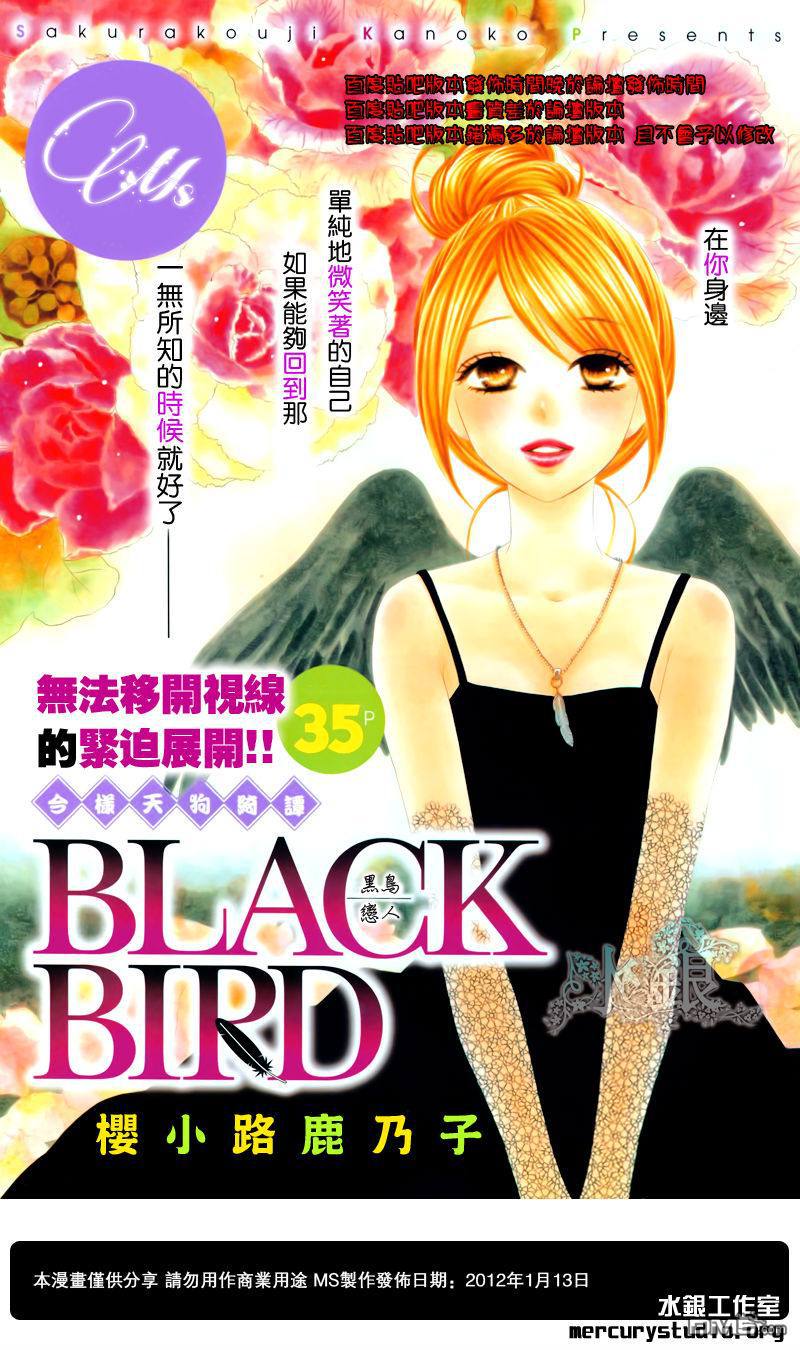 《黑鸟恋人(BLACK BIRD)》第61话第1页