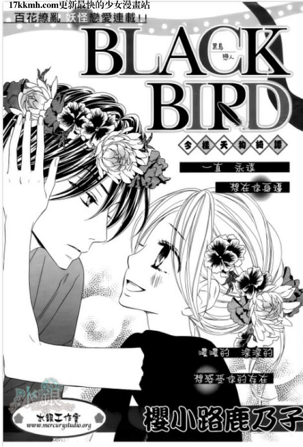 《黑鸟恋人(BLACK BIRD)》第65话第1页