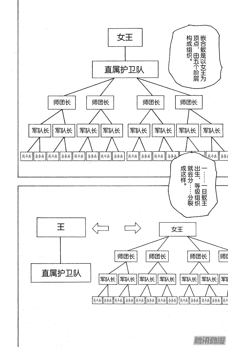 下一页图片