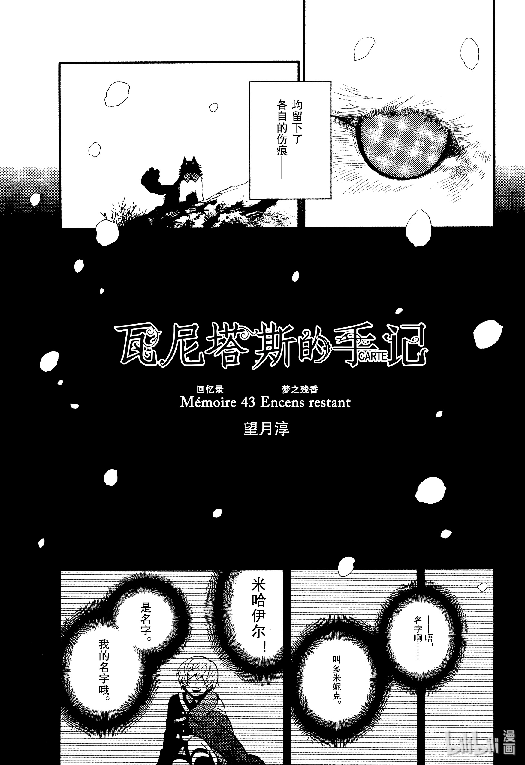 《瓦尼塔斯的手记》43第9页