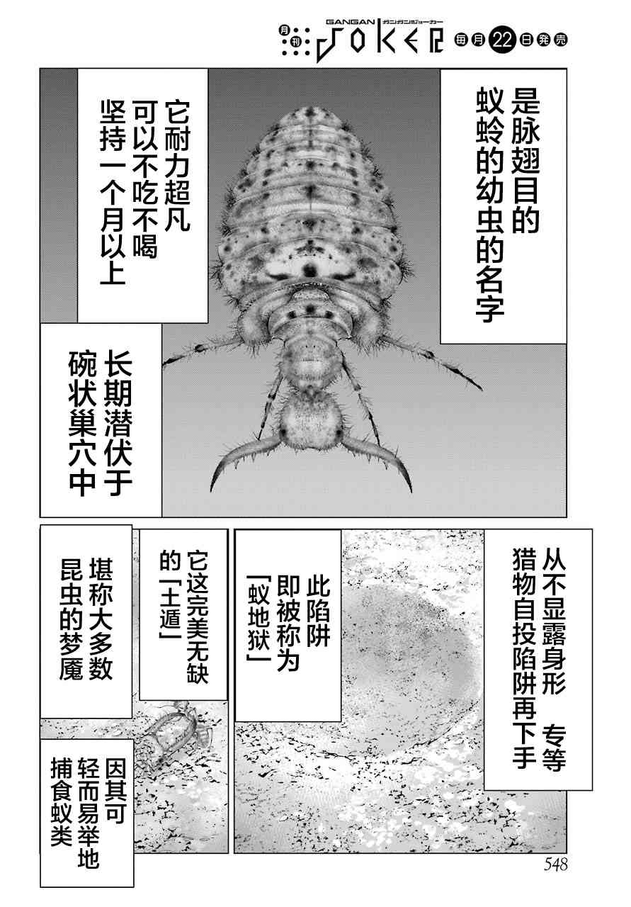 下一页图片