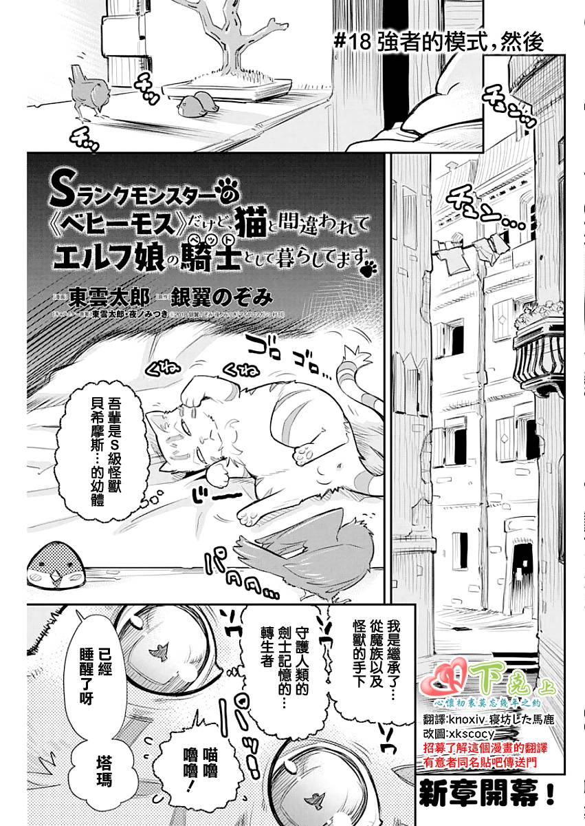 《重生的猫骑士与精灵娘的日常》18话第1页