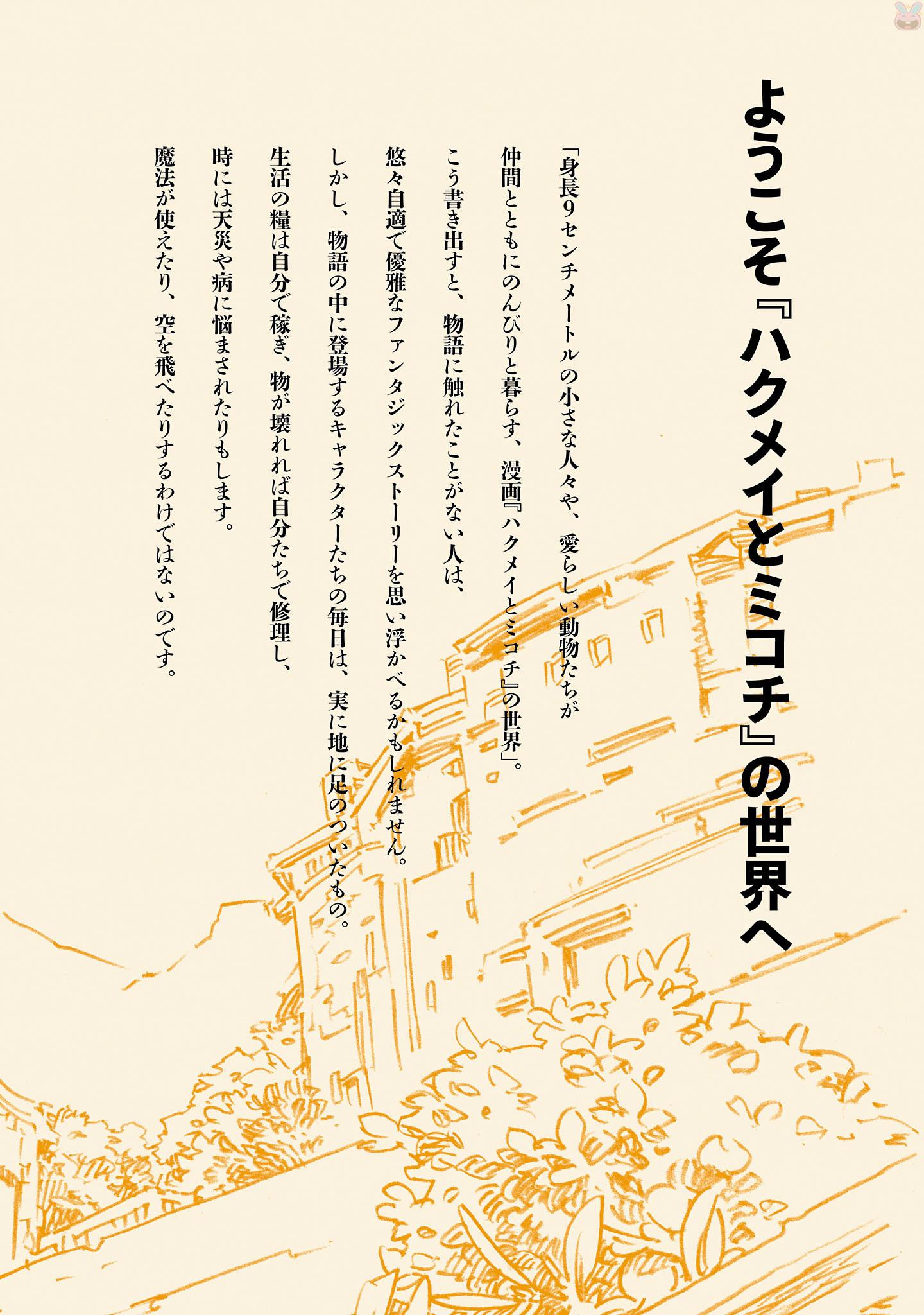 《哈库梅伊与蜜珂析》ハクメイとミコチ ワールドガイド 足下の歩き方第3页