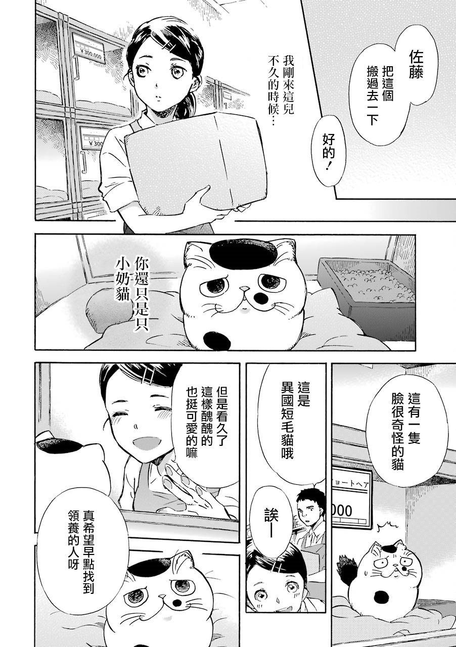 《大叔与猫》21话第2页