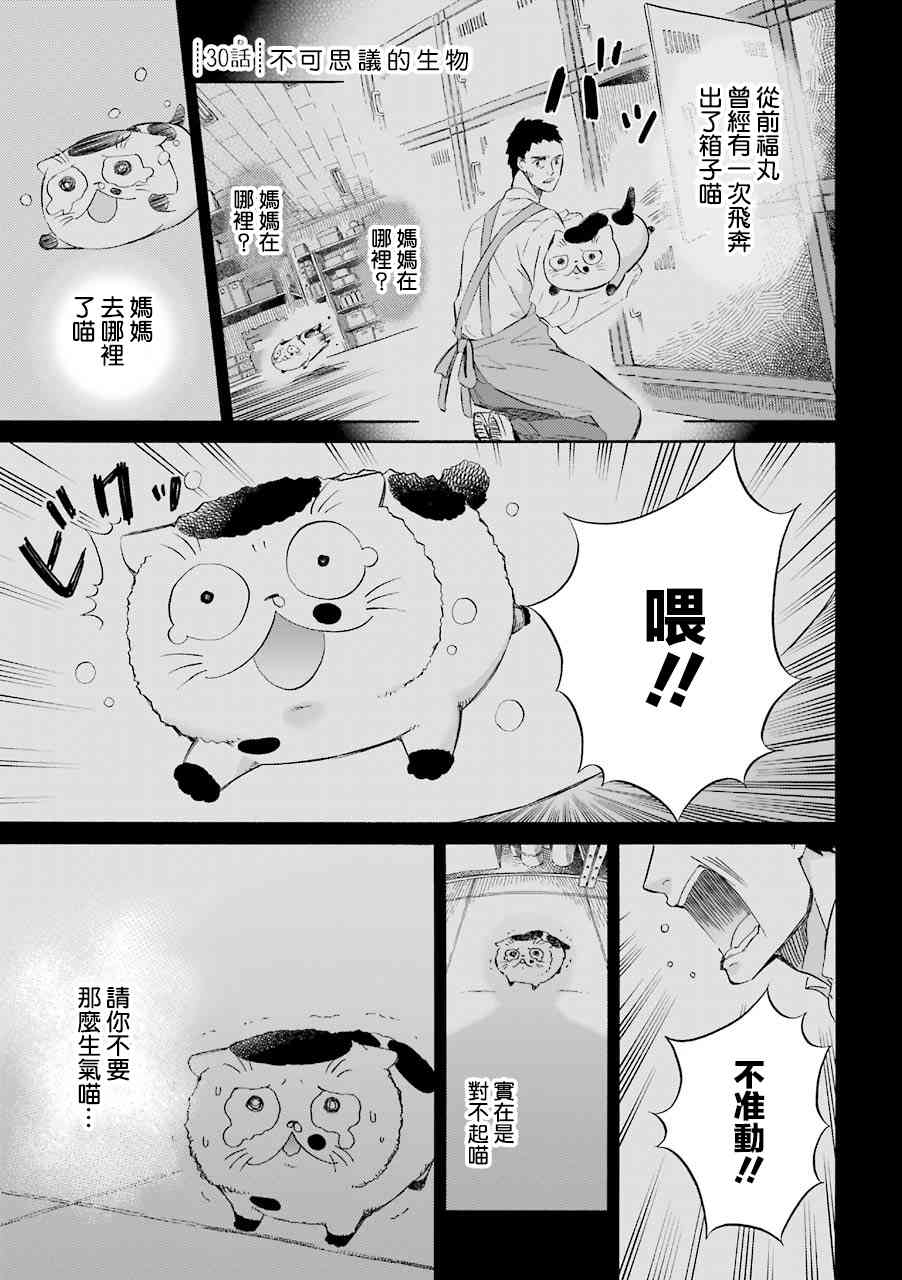 《大叔与猫》32话第5页