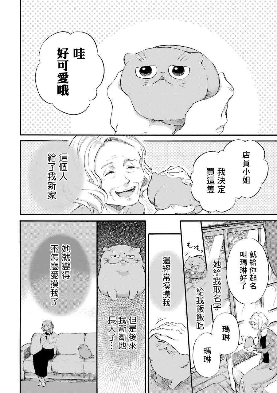 《大叔与猫》37话第2页