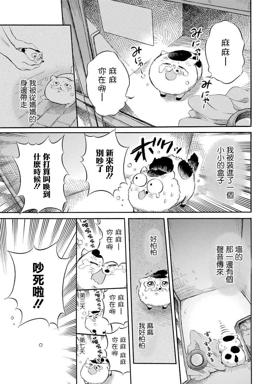 《大叔与猫》47话第2页