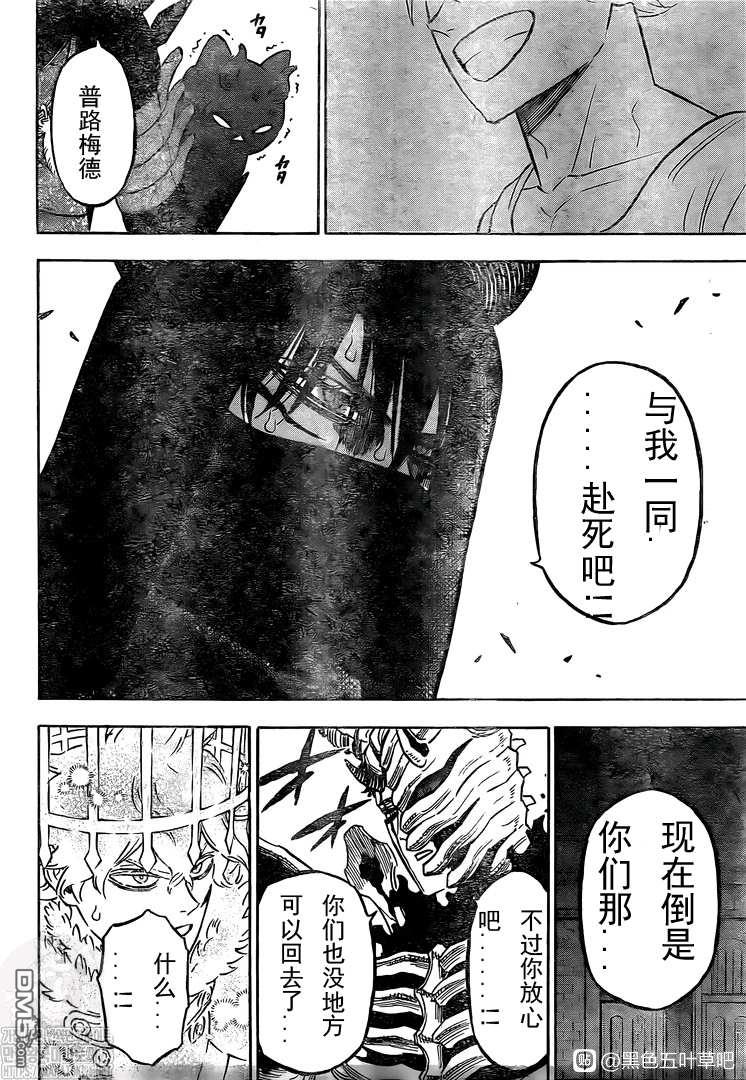 《黑色五叶草》第280话 汹涌的灾祸第11页