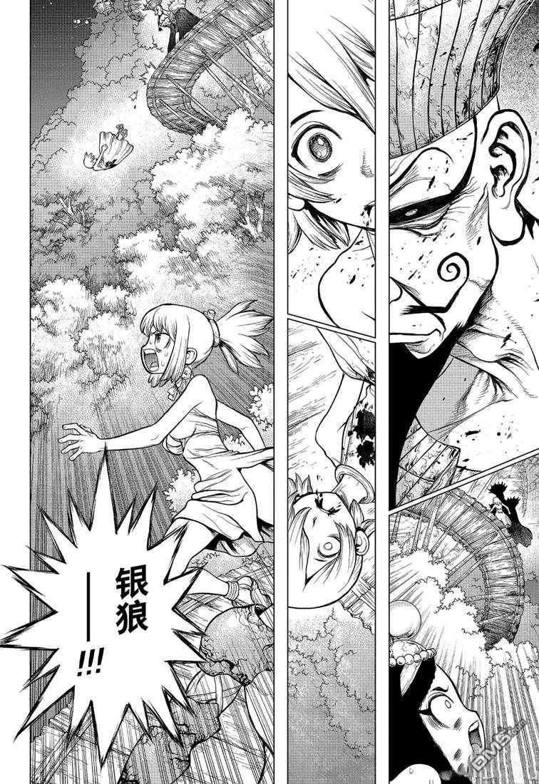 《Dr.STONE》第121话第8页