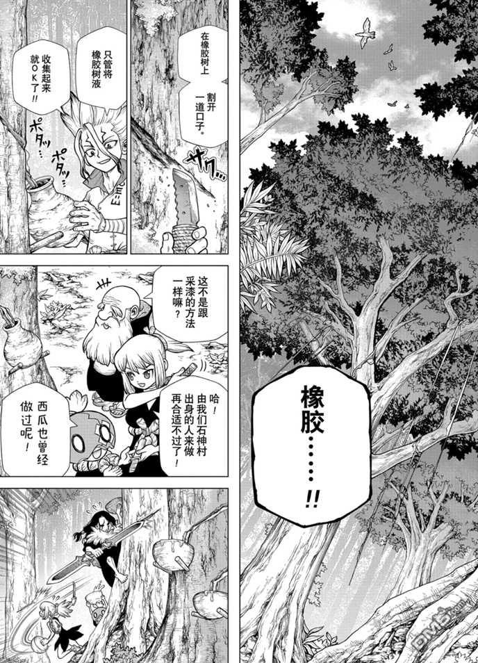 《Dr.STONE》第174话 试看版第13页