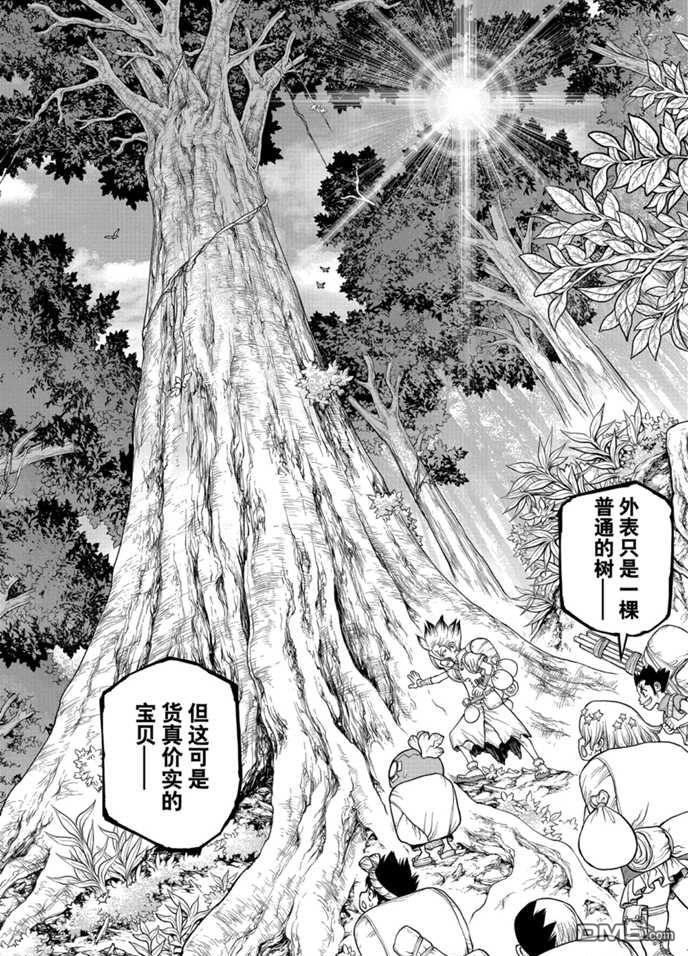 《Dr.STONE》第174话 试看版第12页