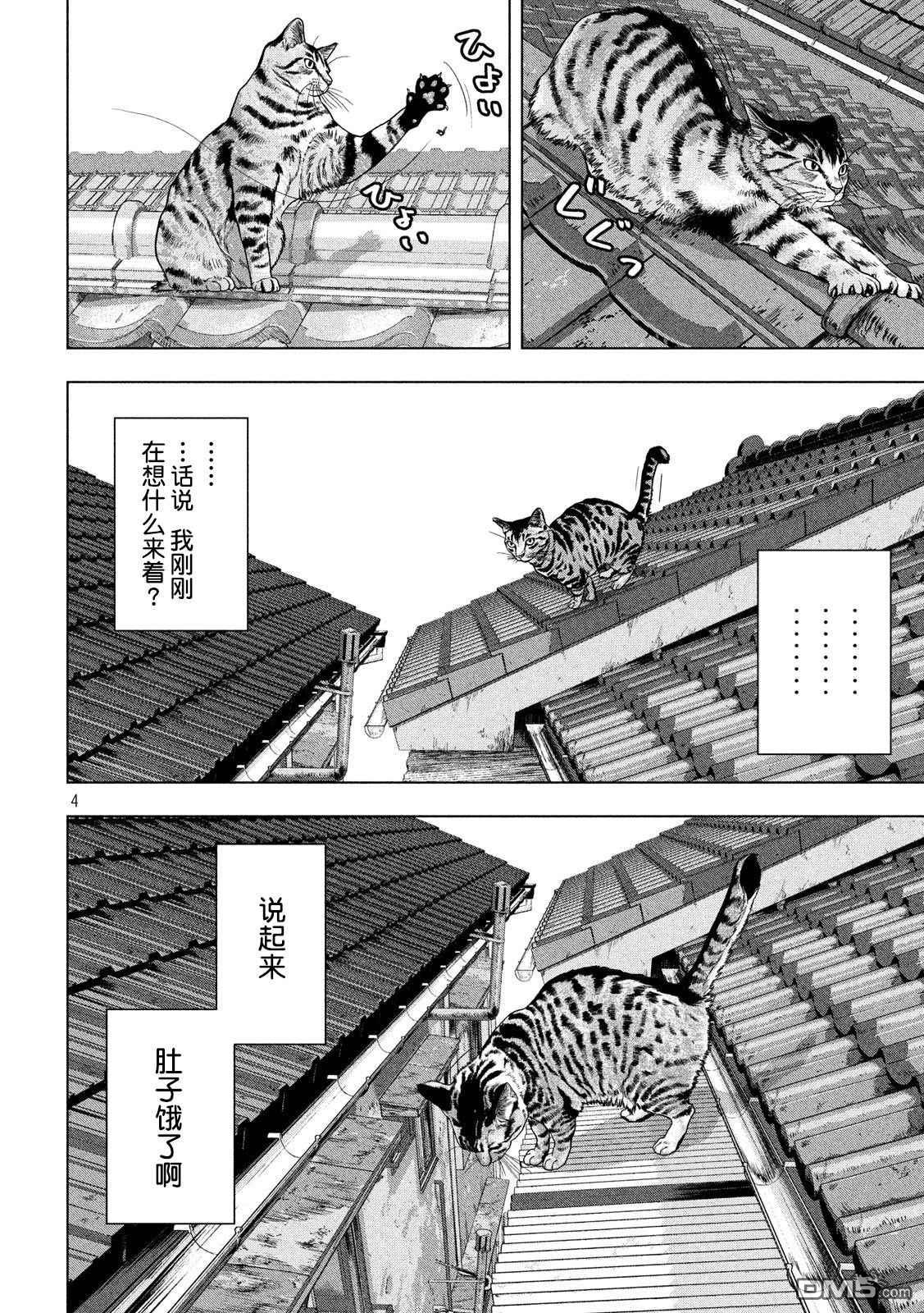 《地下忍者》第41话 吾辈居然是猫？第4页