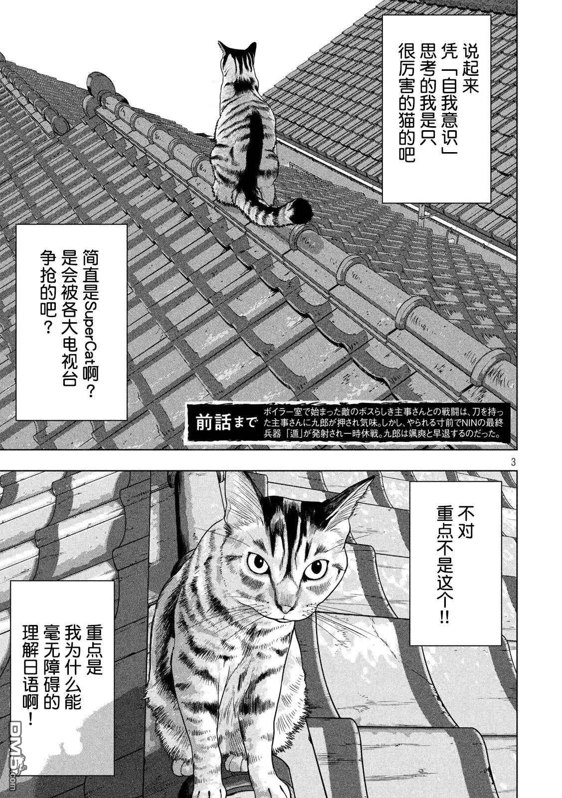 《地下忍者》第41话 吾辈居然是猫？第3页