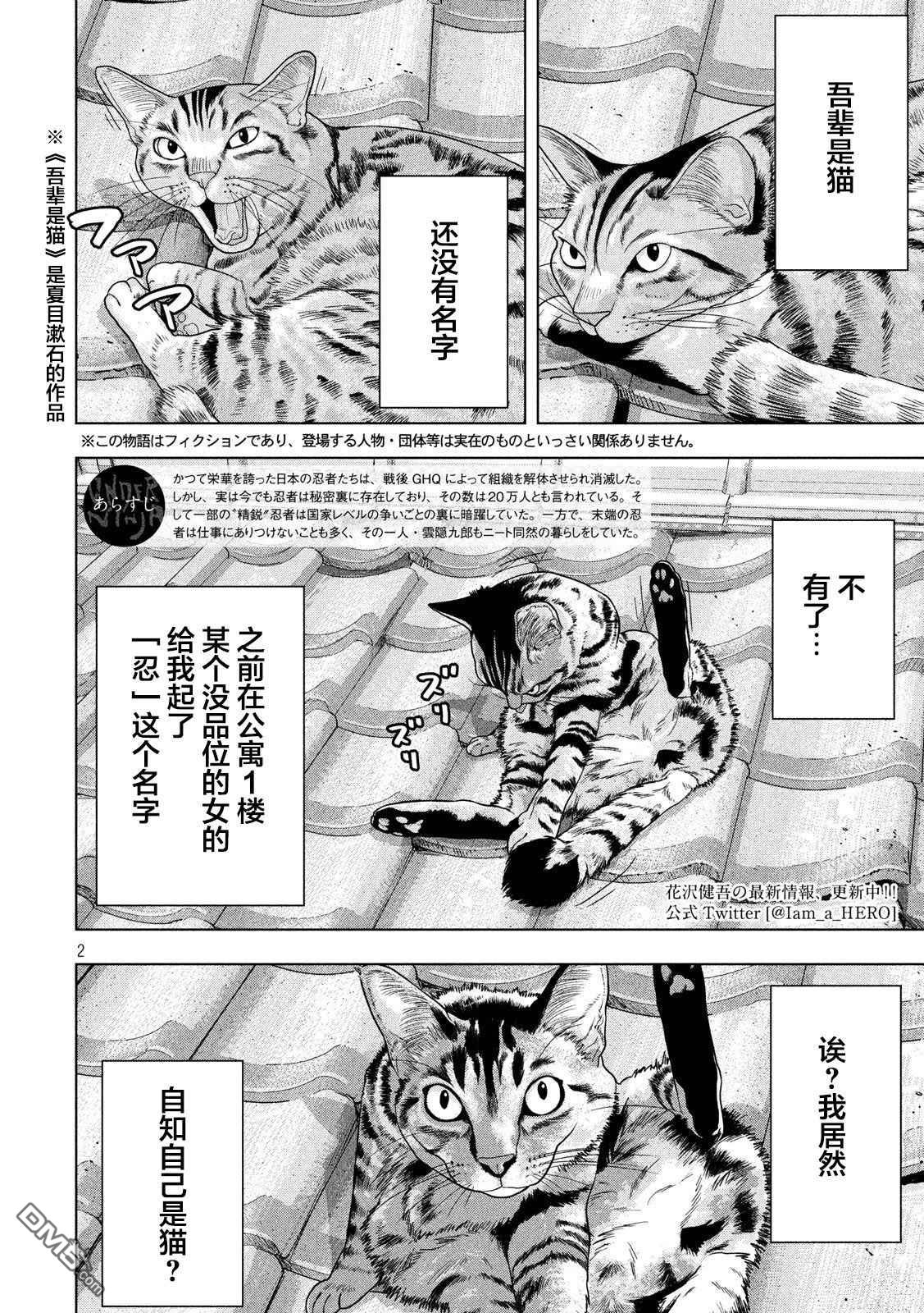 《地下忍者》第41话 吾辈居然是猫？第2页