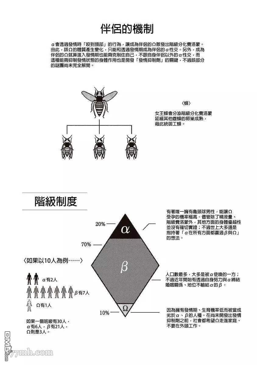 下一页图片