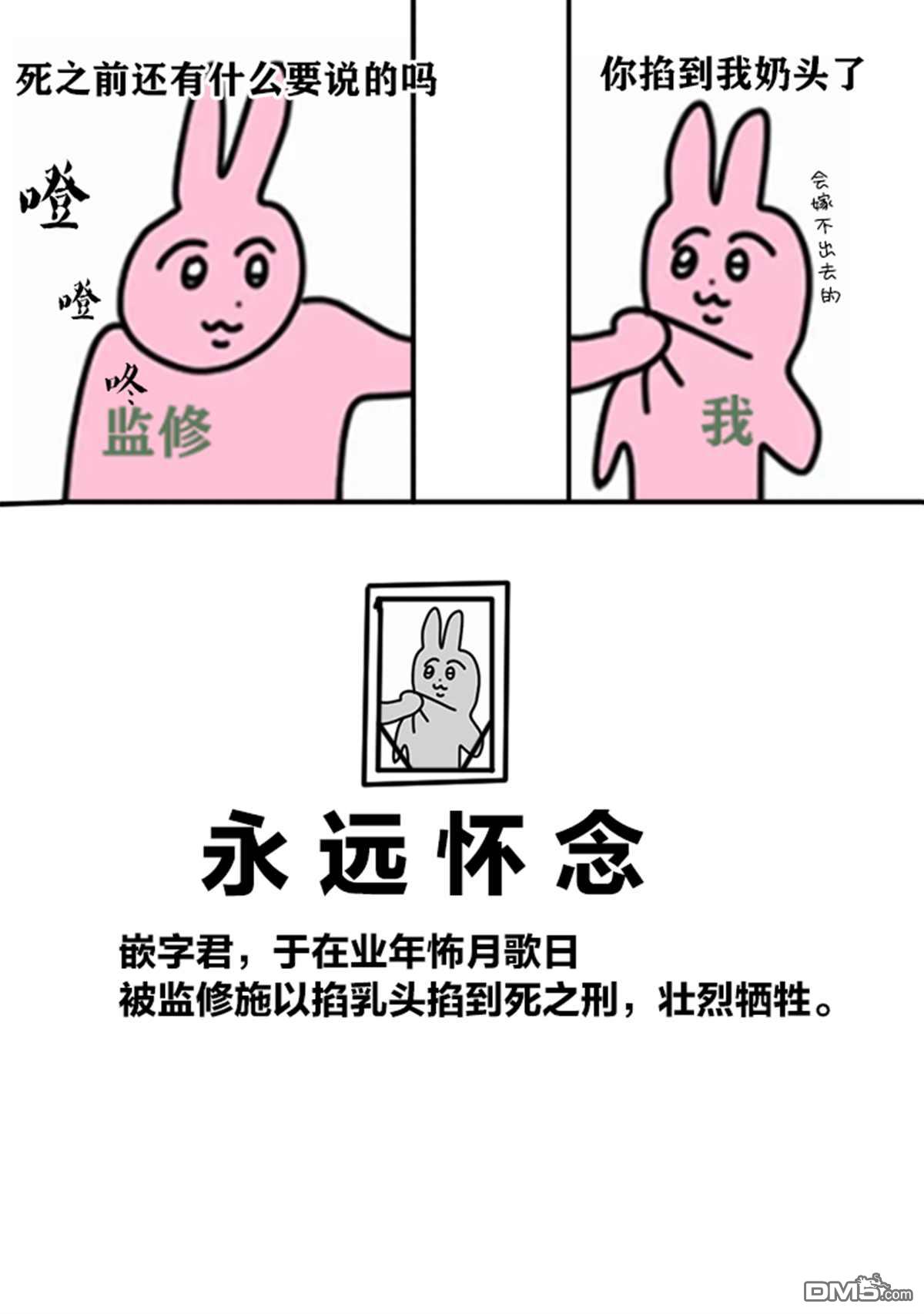 下一页图片