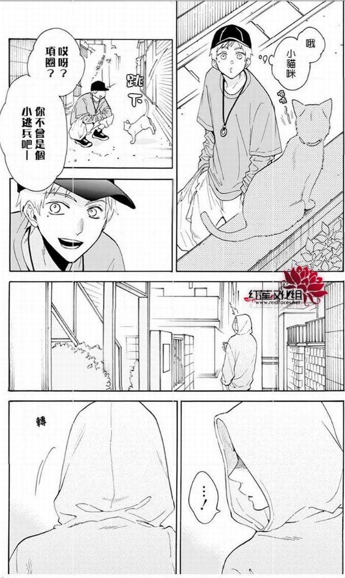 《野猫与狼》8话第12页